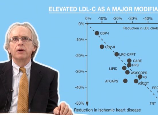 Bile Acid Sequestrants In The Management Of Dyslipidemia